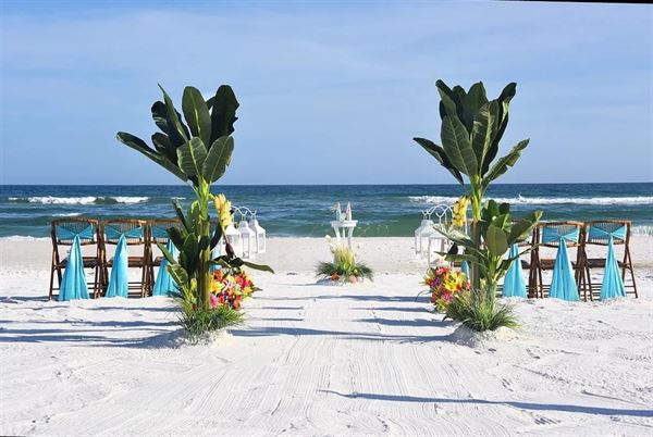Tropical Beach Weddings