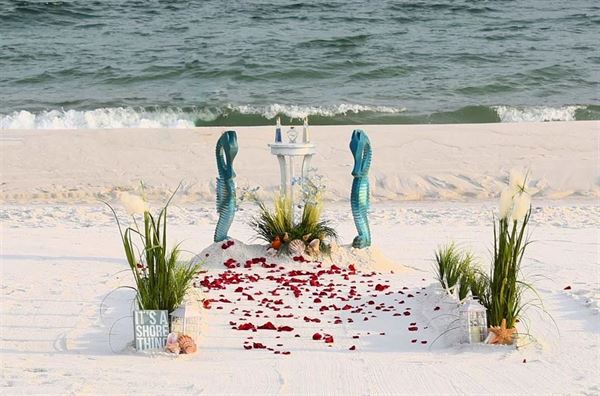 Tropical Beach Weddings