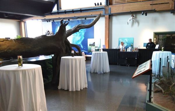 National Mississippi River Museum & Aquarium