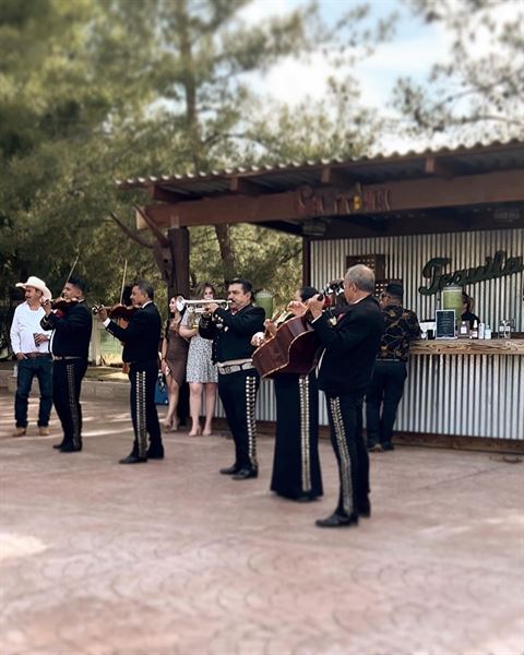 Creating Magic Events & Decorations