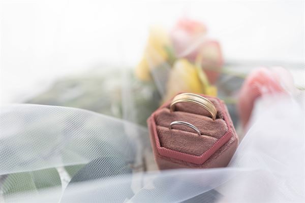 Matt Kendall Photography & Video