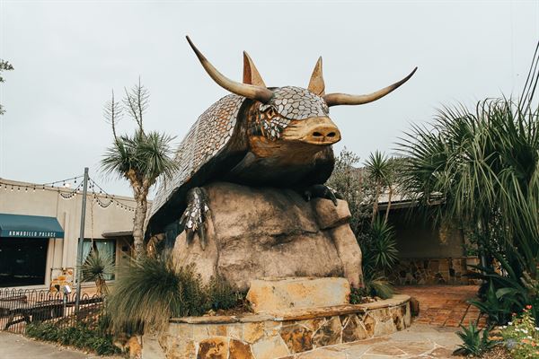 Goode's Armadillo Palace