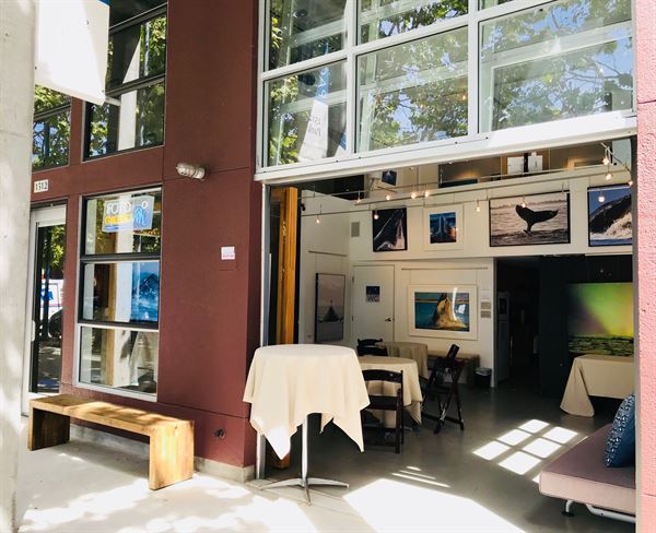 Pacific Landscapes Gallery