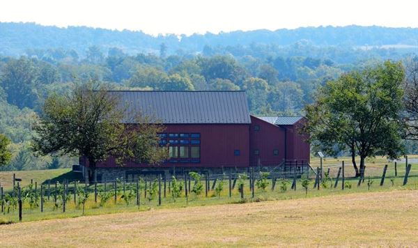 Terra Nebulo Vineyards