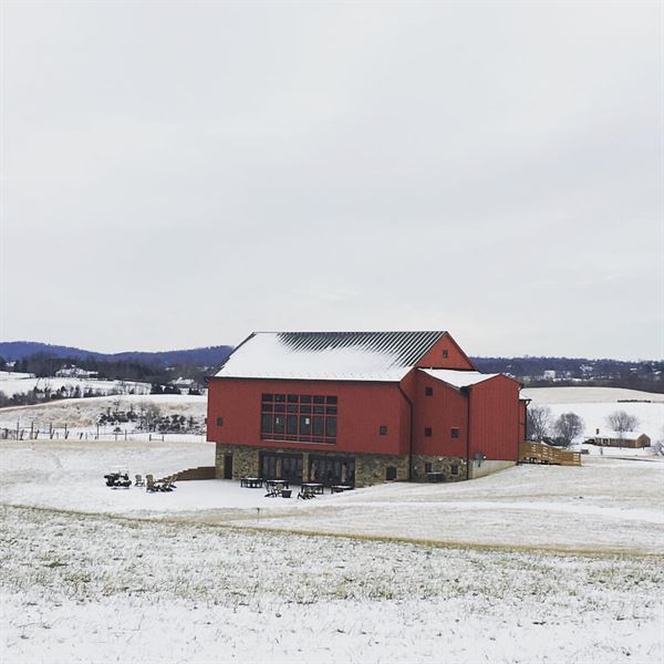 Terra Nebulo Vineyards