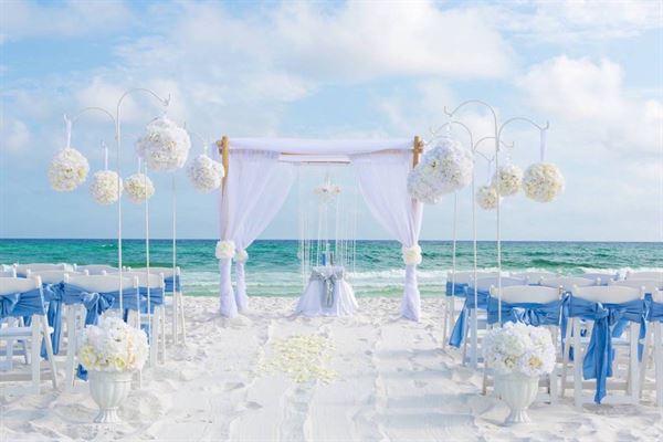 Princess Wedding Co.