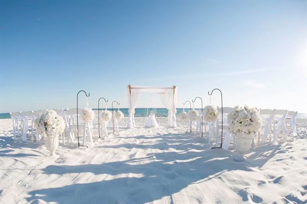 Princess Wedding Co.