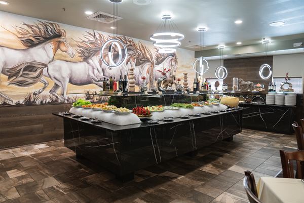 Terra Gaucha Brazilian Steakhouse