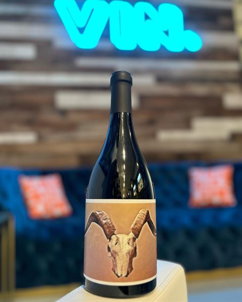 VIN Wine Bar + Bottle Boutique