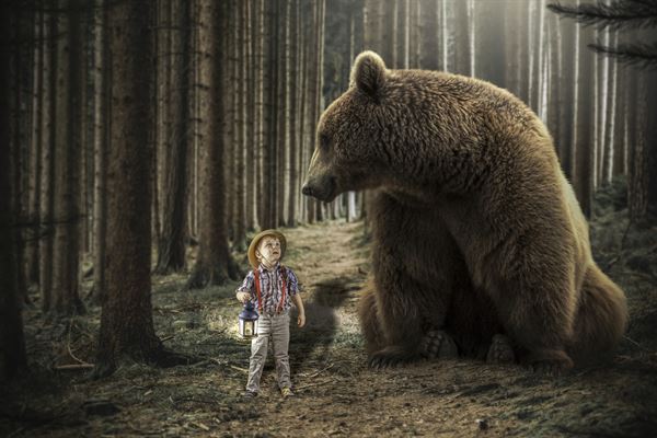 JF  Bergeron Photographe