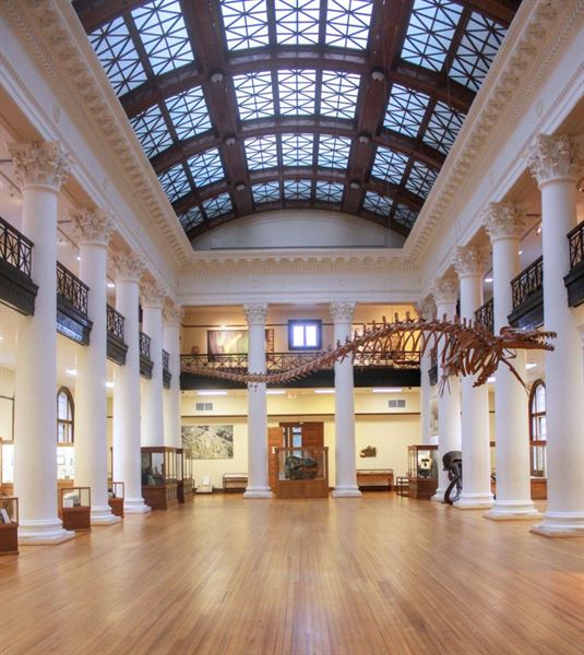 Alabama Museum of Natural History at Smith Hall on UA Campus