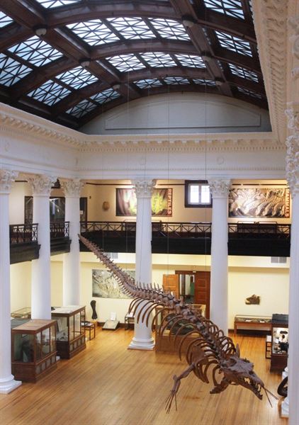 Alabama Museum of Natural History at Smith Hall on UA Campus
