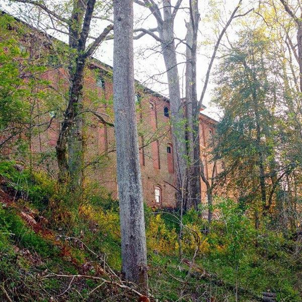 Double Shoals Cotton Mill