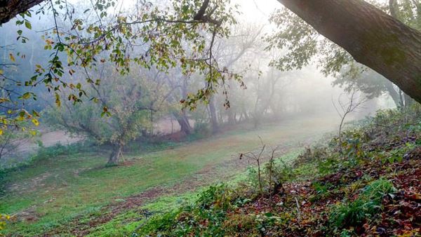 Double Shoals Cotton Mill