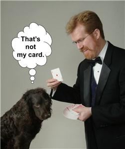 Mike Rose Magic - Columbia