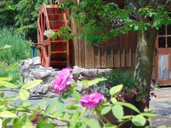 Trout Springs Winery