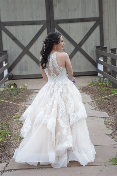 Andria Nelson Photography