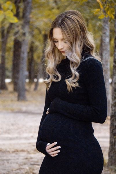 Pine and Rose Photography