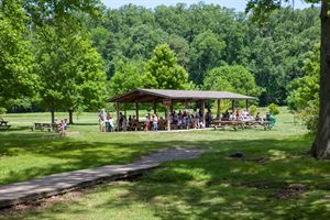 Pavilions and Picnic Areas