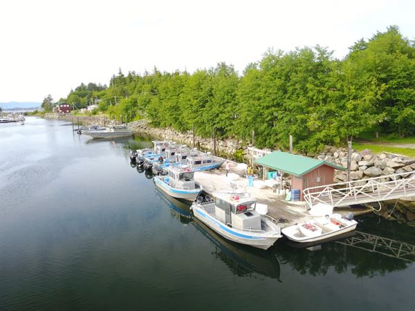 Shelter Cove Alaska Fishing Lodge