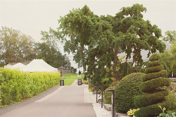 Waupoos Estates Winery