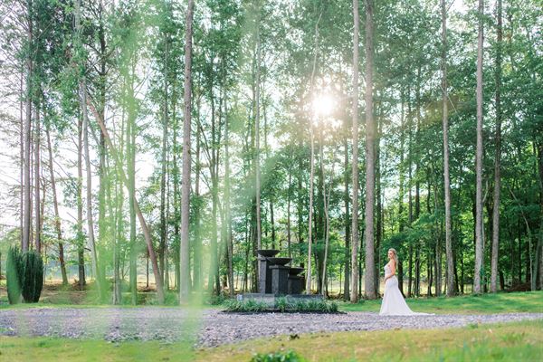 The Venue at Lilly Lou's The Pines