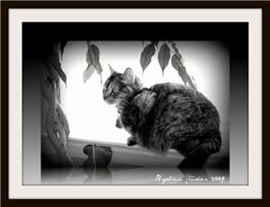 Bayline Studios - Pikesville