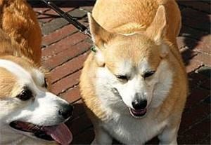 Bayline Studios - Randallstown