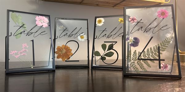 Fin & Beck Design Co.