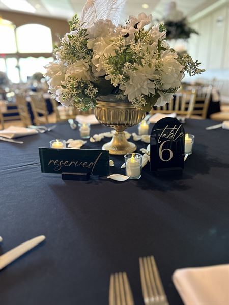 Fin & Beck Design Co.