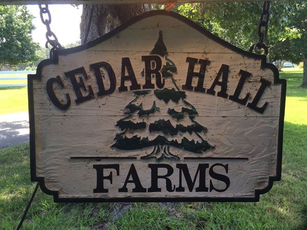 Cedar Hall Farms