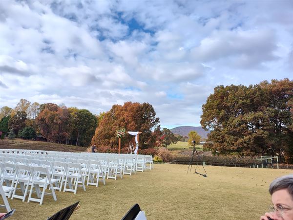Steven K. Leonard, Violinist