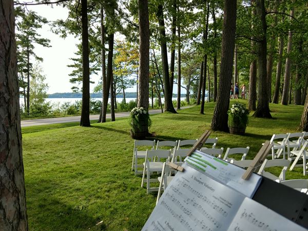 Steven K. Leonard, Violinist