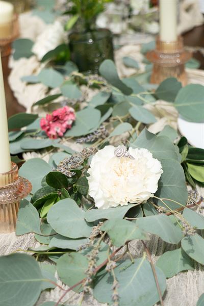 Pine and Rose Photography