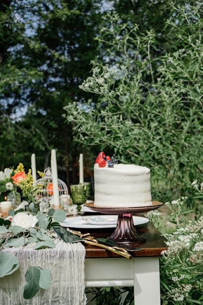 Pine and Rose Photography