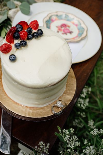 Pine and Rose Photography