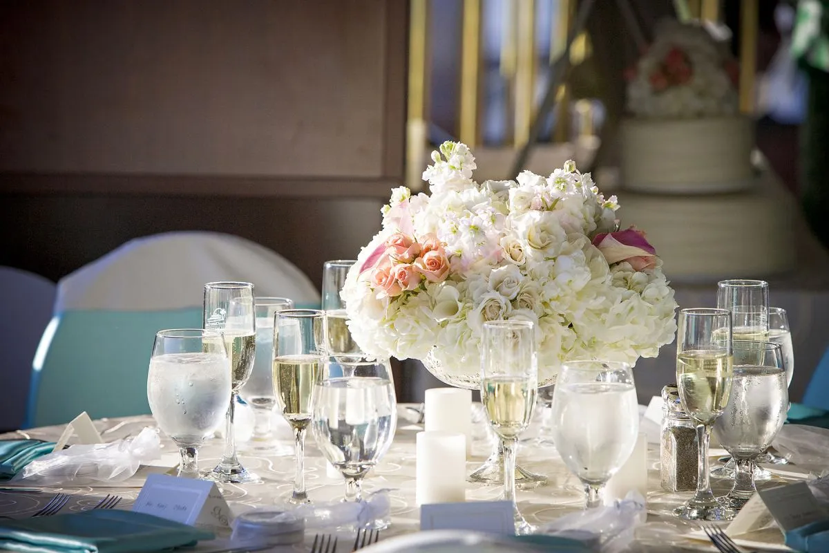 Paradise Charter Cruises