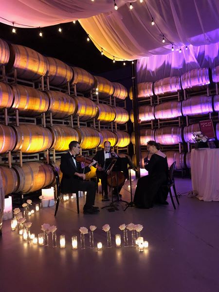 Windsong Classical Trio