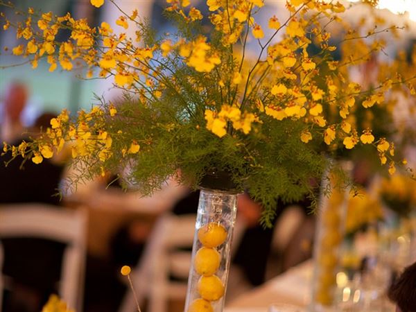 The National Croquet Center