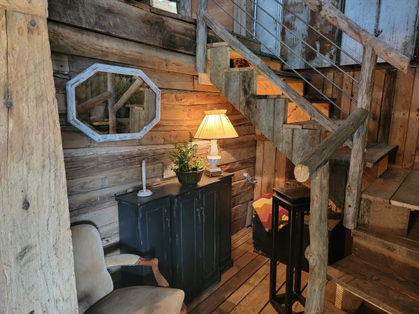 Barn 697