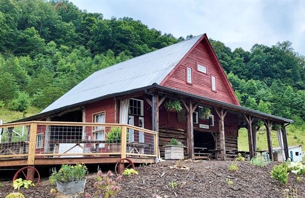 Barn 697