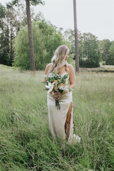 Pine and Rose Photography