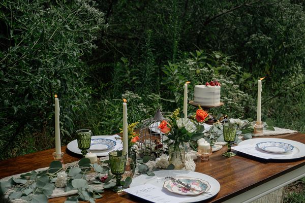 Pine and Rose Photography