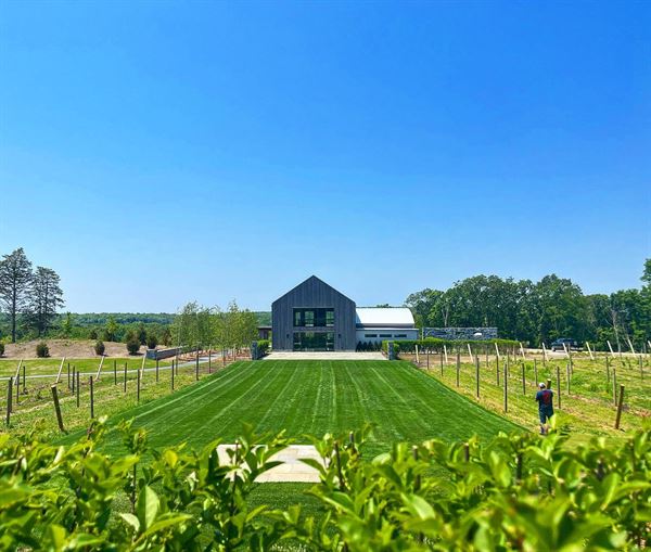 Kingdom of the Hawk Vineyard