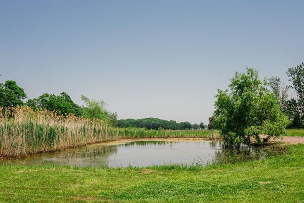 Goloka Eco Farm