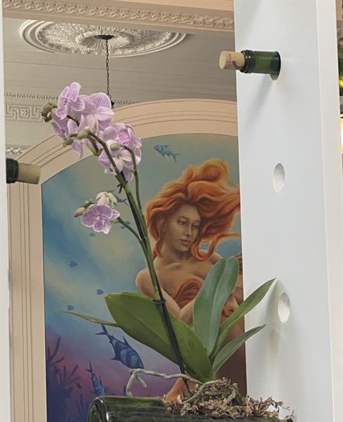 Mermaid Winery - Norfolk