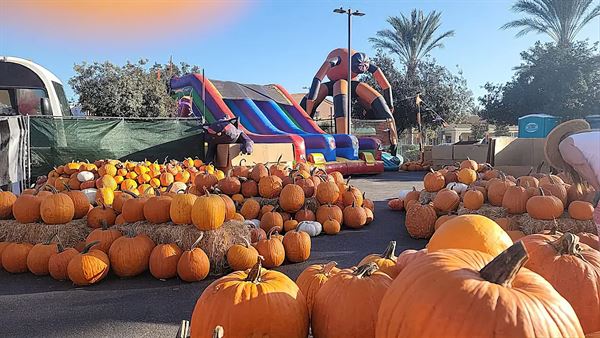 Cosmic Pumpkin Patch