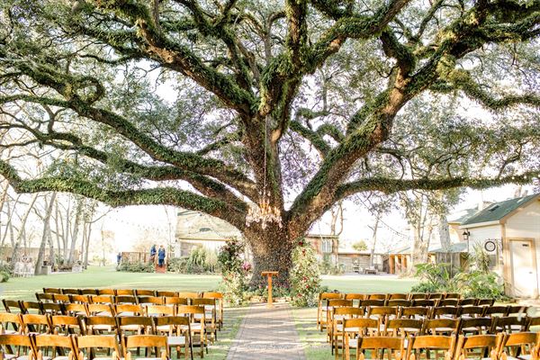 Oak Tree Manor Weddings
