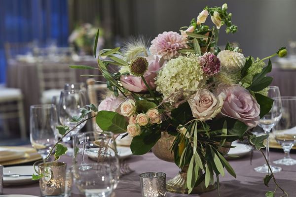 Hilton Garden Inn Rochester/University & Medical Center