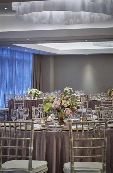 Hilton Garden Inn Rochester/University & Medical Center